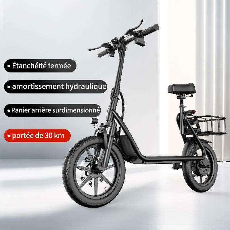 AovoPro™ Scooter 35 km/h