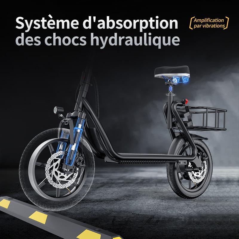 AovoPro™ Scooter 35 km/h